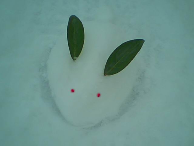 雪兔子2