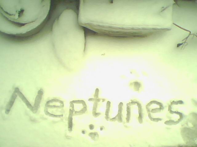 neptunes