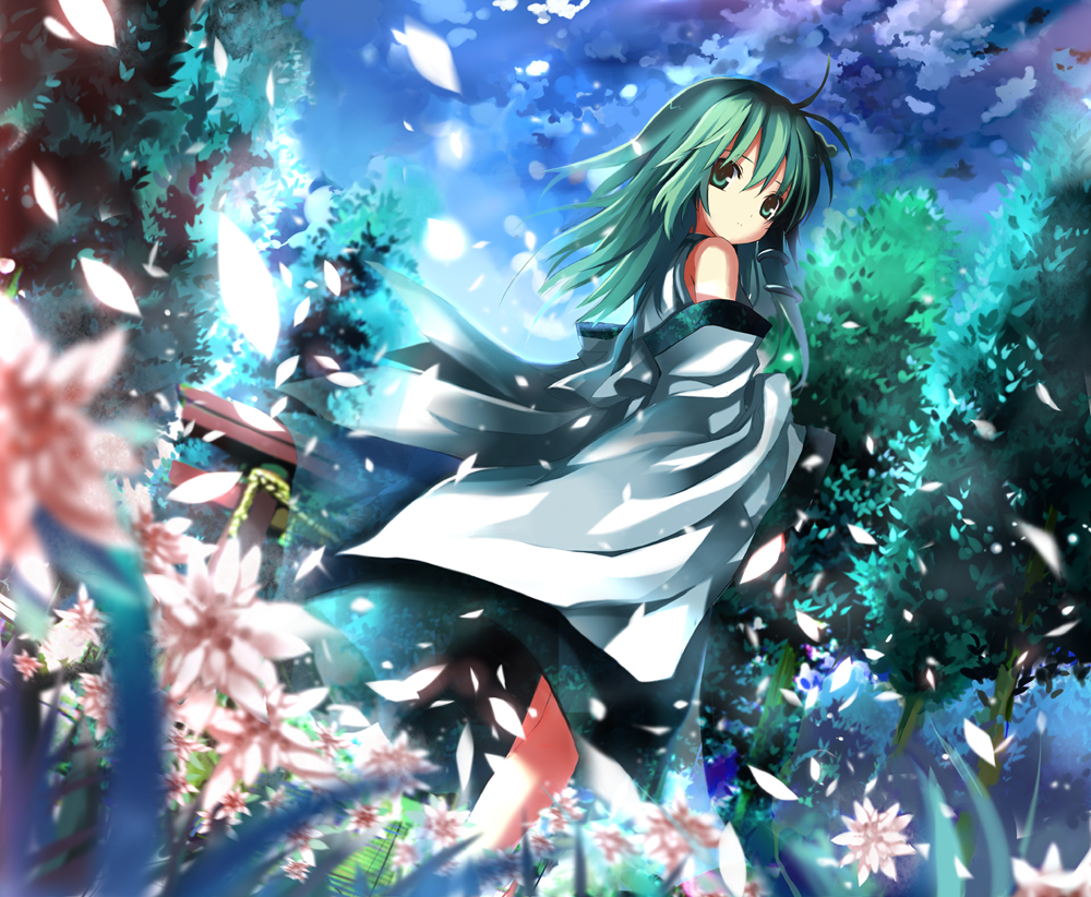 sanae01jpg