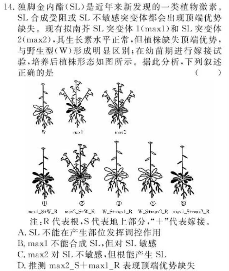 2021湖南卷生物14jpg