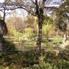 P1010019JPG