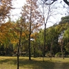 P1010025JPG