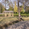 P1010030JPG