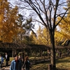 P1010026JPG