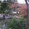P1010113JPG