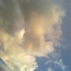 20100722007jpg