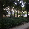 20100725033jpg