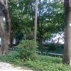 20100725032jpg