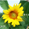 DSC09815png