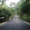 20100816136jpg