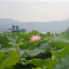 20100816144jpg