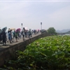 20100816156jpg