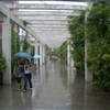 4SQ5QQQCN7I]]{18)1PO