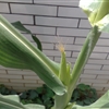 01052010066jpg