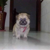 25062010147jpg