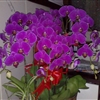 10022010019jpg