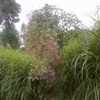 04102010193jpg