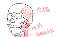 头部骨架jpg