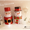 DSC00691png