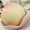 DSC00887png