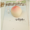 DSC00908png
