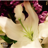 DSC07015png