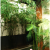 DSC06891png
