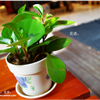 IMGP3451png