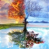 5a2bd8ee5045cc1279f0