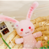 IMGP5119png