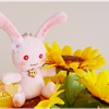 IMGP5133png