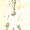 宇智波·鼬