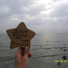 SDC10247JPG