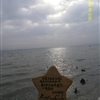 SDC10246JPG
