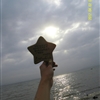 SDC10245JPG