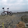 SDC10262JPG