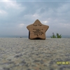 SDC10278JPG