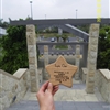 SDC10296JPG