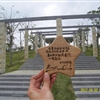 SDC10293JPG
