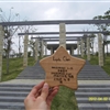 SDC10294JPG