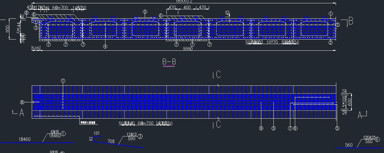 现浇连续段钢筋布置图jpg