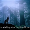 Wolvesjpg
