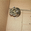 SDC12526JPG