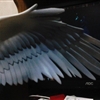 IMG_20130502_000736j