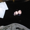 IMG_20130502_002549j