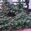 PANO_20130825_102901