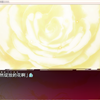 QQ截图20131103115035pn