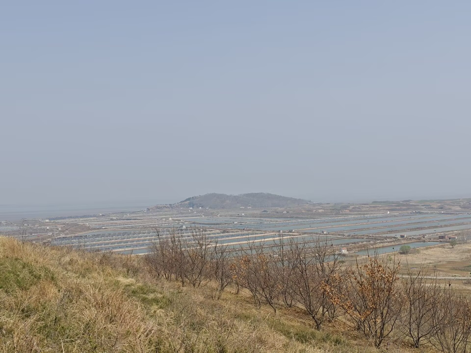 27220cccb49814705739