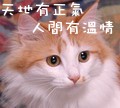 奻換恅璃5766